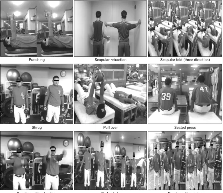 Fig.  2.  Scapular  stabilization  exercise  program.