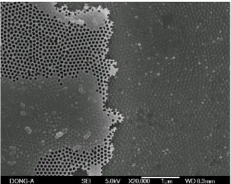 Fig. 4. SEM photograph of top surface view of Al de- de-posited template. 59, 69, 79 nm " f Å Ò+þ AÜ ¼ Ð  6  x)a ·ú À Òp   ~Ã Ì}  [ j/BN _ f  â  Ð   ¸FK ß ¼>  ½+ Ë$í ÷ &amp; ¦ e  