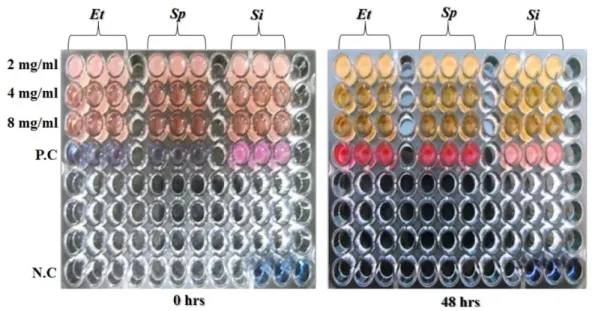 Fig. 3. Effect of gallium on viable cell count of bacterial fish pathogen. (P.C) Positive Control (well contain untreated bacterial cells), (N.C) Negative Control (well contain only culture medium), (Et) E