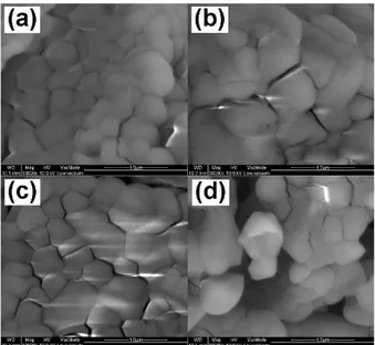 Fig. 5. SEM images of Y 1−x BO 3 :Eu 3+ x phosphors syn- syn-thesized at 1200 ◦ C with different Eu 3+ concentrations (a) 0.05, (b) 0.10, (c) 0.15 and (d) 0.20.