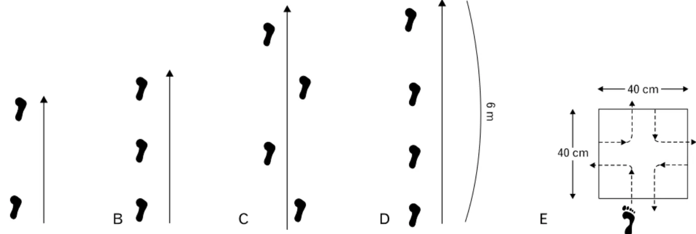 Fig. 2. Various hop tests for functional evaluation after anterior cruciate ligament reconstruction