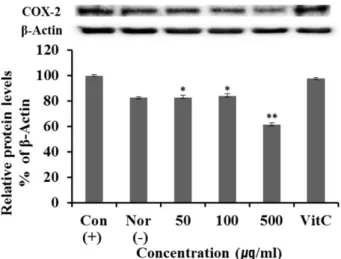 Fig. 4. COX-2 protein expression rate of extract from  Dystaenia takeshimana on macrophage cell (Raw264.7)