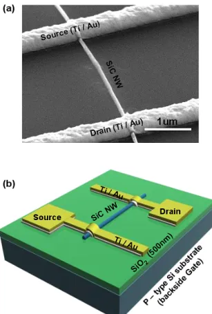 Fig. 2. Experimental electrical characteristics of SiC nanowire FET : (a) V DS -I D characteristics graph as  func-tion of V G of -40, -30, -20, -10, 0, +10, +20, +30 and +40 V, inset graph is enlarged plot of (a)