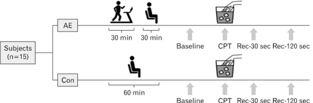 Fig. 1. Experimental design. AE: