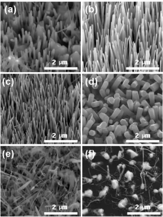 Fig. 1. FE-SEM images of ZnO nanorods grown under Ar gas flow of 600 sccm at (a) T g =600 ◦ C without catalyst, (b) T g =650 ◦ C without catalyst, (c) T g =700 ◦ C without catalyst, and (d) T g =600 ◦ C with AuGe catalyst.
