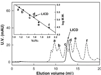 Fig.  2.  Gene  expression  and  purification  of  LICD. SDS-PAGE analysis showed the expression level and the purity of LICD from recombinant  E