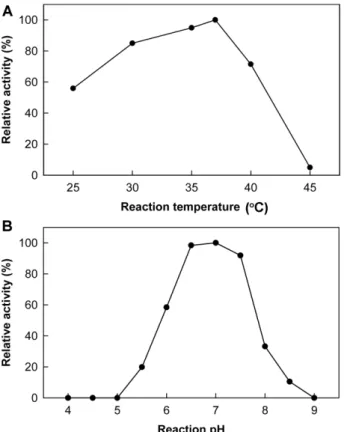 Fig. 4. Effects of reaction temperature (A) and pH (B) on LICD activity.  Optimal reaction temperature and pH of LICD were determined on the basis of its hydrolyzing activity towards  β-CD.