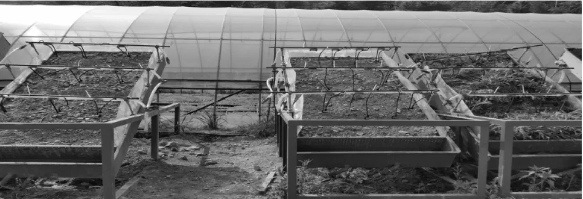 Fig. 3. Sprinkler and spray pump in Lysimeter
