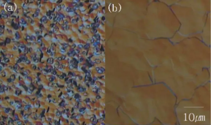 FIg. 1 _  (a), (b)\    s # Q l ó ø Í x 9  ³ ð  % o \  ¦ '   ô Ç l óø Í 0 A\  2 µm ¿ ºa  Ð $í © )a BiSbTe 3 ~Ã Ì} _ Fg <Æ &amp; ³p â 'a ¹1 Ï   `¦   ? /%3  