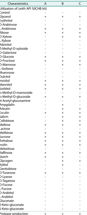 Table 2. Phenotypic diversity of strain FBL-1 and related strains of  Bacillus subtilis a 