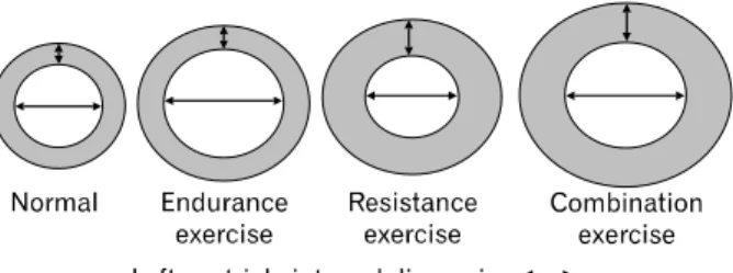 Fig.  1.  Left  ventricle  adaptation  according  to  exercise  types. 등의 경기 참여자들에게서 만성 심장질환이 감소되었다 5) 