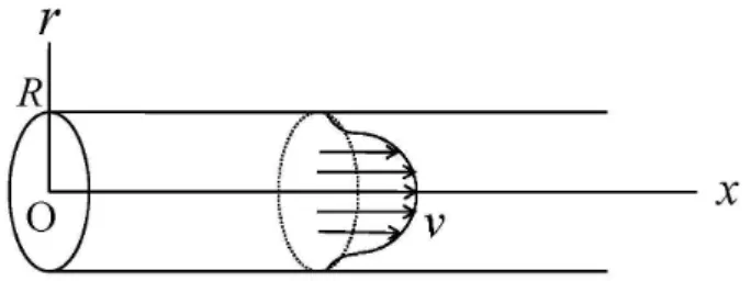 Fig. 1. The velocity profile in Eq. (1).