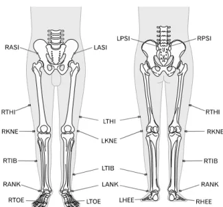 Fig.  1.  Anatomical  Landmark  (plug-in  gait  marker  set). 