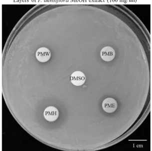Fig.  2.  DPPH  radical  scavenging  activity  of  various  layers from P. densiflora needle methanolic extract