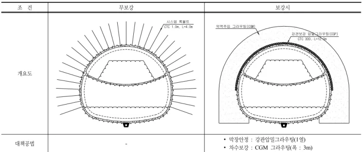 표 12. 대책공법 적용 유무에 따른 해석조건 조  건 무보강 보강시 개요도 CTC 1.0m, L=4.0m시스템 록볼트 강관보강 압밀그라우팅(CGP)CTC 300, L=12.0m약액주입 그라우팅(CGM) 대책공법 - ∙ 막장안정 :  강관압밀그라우팅(1열) ∙ 차수보강 : CGM 그라우팅(폭 : 3m) 표 13