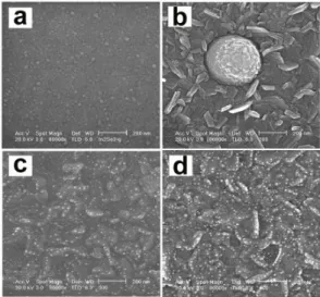 Fig. 1. X-ray diffraction patterns of as-deposited film(a), β-In 2 Se 3 films annealed at (b) 100 ◦ C, (c) 200 ◦ C, (d) 300 ◦ C, (e) 400 ◦ C for 30 min in flowing nitrogen.