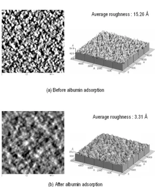Fig. 5. Cross-sectional images of high refractive and low refractive index layer of upper bragg reflector.
