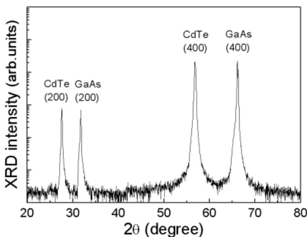 Fig. 1. The XRD pattern of CdTe/GaAs(100) epilayer.