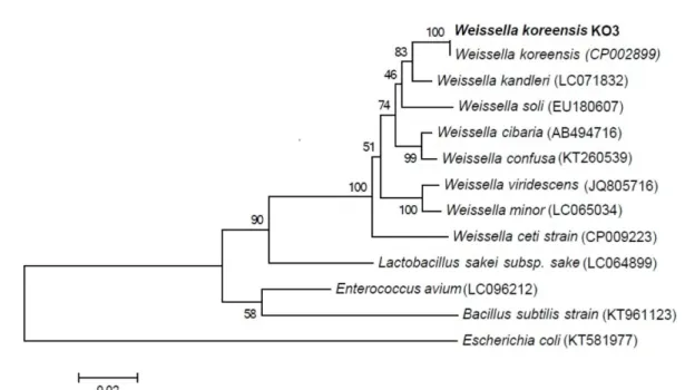 Table 2. Effect of different incubation temperature on growth of  W. koreensis KO3 for 24 h.