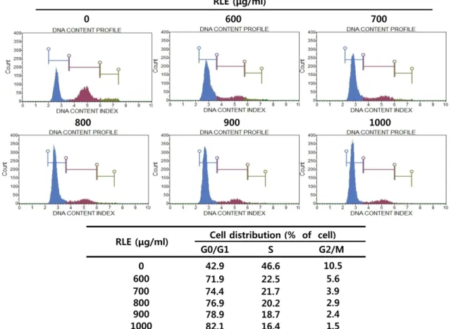 Fig. 7. Alteration of G1 phase-related proteins expression in 3T3-L1 adipocyte treated with Rosae laevigatae fructus 30%