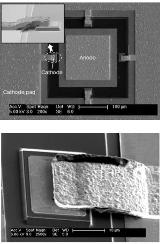 Fig. 5. SEM photographs of Diode B.