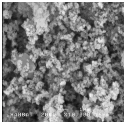Table 4. Result of x-ray fluorescence spectrometer   (unit : %) Component Tripolyphosphates Precipitate Variation