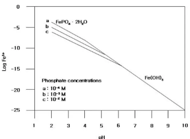 Fig. 6. Stability diagram of iron phosphate and iron hydroxide(이 규호 등, 2006)