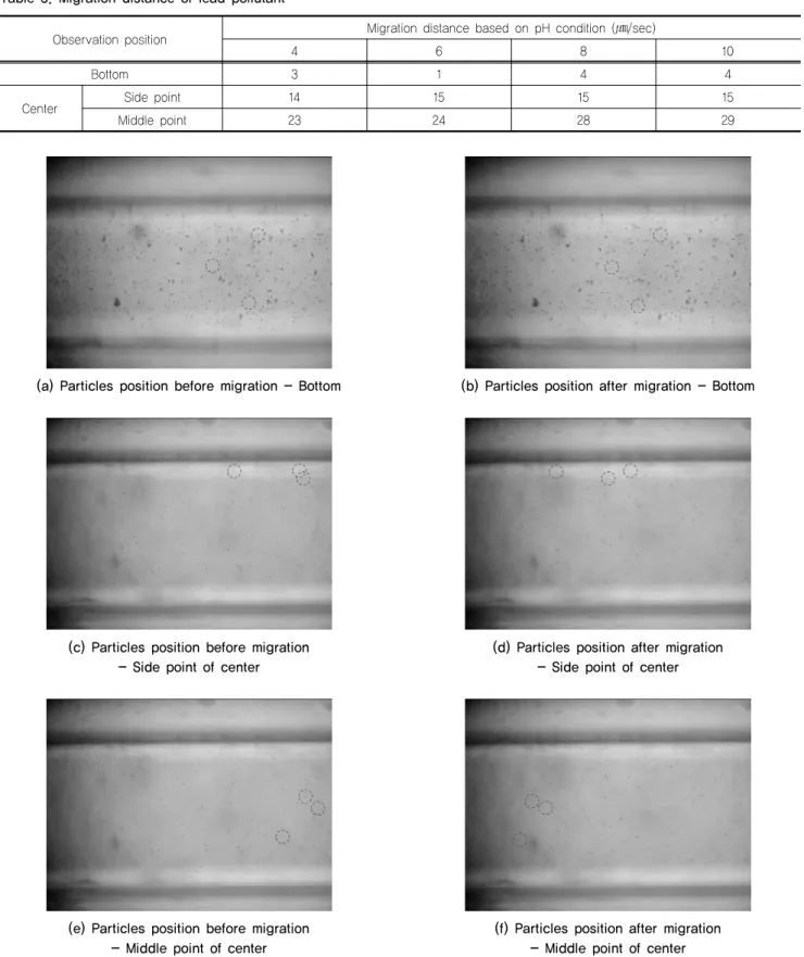 Table 3. Migration distance of lead pollutant