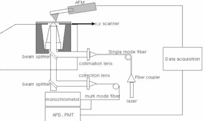 Fig. 1. Schematic of an AFM/Confocal combined micro- micro-scope showing the optical layout.