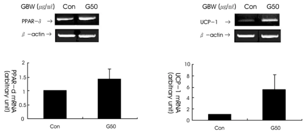 Fig. 4. Expression  of  PPAR-δ and  UCP-1  Protein  in  Visceral  White  Adipose  Tissue  in  Rat  fed  the  Gambi-hwan  Extract 
