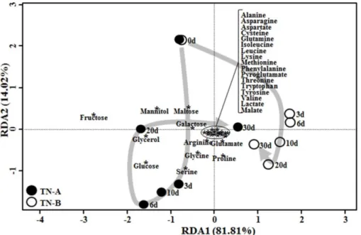 Fig. 4. Redundancy analysis (RDA) showing the correlation between  nuruk samples and metabolite concentrations during fermentation of TN-A and TN-B  nuruk samples