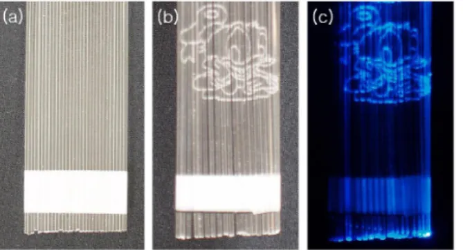 Fig. 6. POF array (30ea times 12bumdles); (a) POF array after laser, (b) Side illumination on the surface of the POF array by the LED light source.