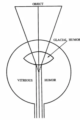 Fig. 1. Alhazen 0 s idea of vision. The diagram are taken from Ref [15].  ÐÂ Ò' F g [þt s  èH Ü ¼ Ð  Ð? /t  ¦ y } \  Ã ºf Ü ¼ Ð ëß   : x õ  #  Ã º&amp;ñ ^  Ð  Ð? /   ¦ Ò q ty  %i  