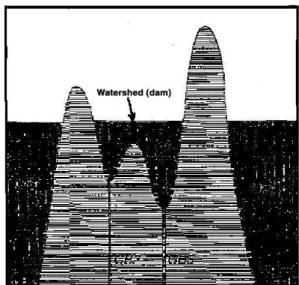 Fig. 1. 2-dimensional schematic cross-section diagram of 3-dimensional watershed. III