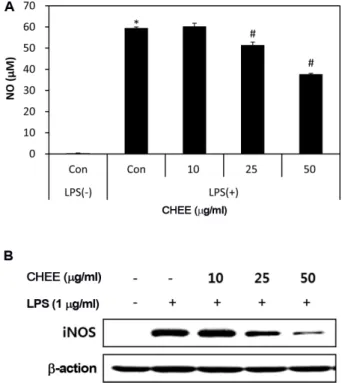 Fig. 1. Effect of CHEE on cell viability (A), H 2 O 2 -induced ROS scavenging activity (B), modulation of an anti-oxidative enzyme, HO-1 and its upstream transcription factor, Nrf2  pro-tein expression (C) in RAW 264.7 cells