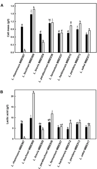 Fig. 1. Cell growth (A) and lactic acid production (B) of lactic acid bacteria isolated from  Kimchi