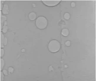 Fig. 7. X-ray image of Cu 400 mesh.