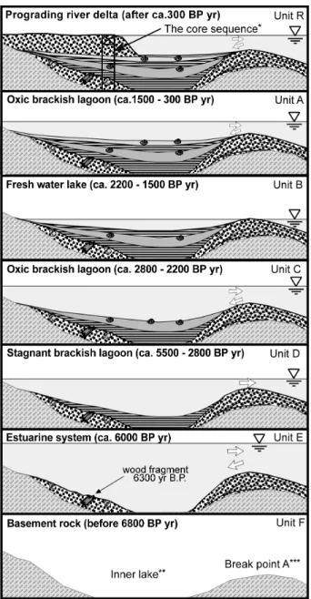 Fig. 6. The conceptual evolution?model of the inner lake of the Hwajinpo Lagoon. The ages are estimated from 14C age dating on the hypothesis of a constant  sedi-mentation rate; the sea-level changes are presented on a relative scale; * Core sequence: the 