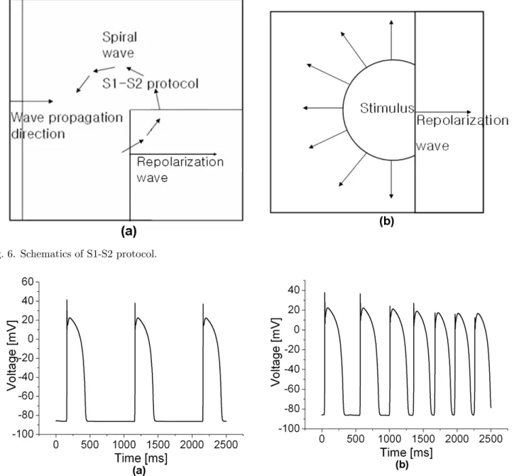 Fig. 6. Schematics of S1-S2 protocol.