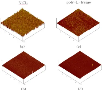 Fig. 3. AFMÖÖmicrograph for various protein chip plates (a)(c) glass slides and (b)(d) ITO.