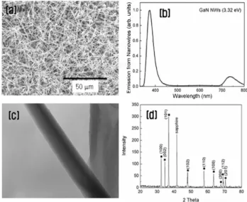 Fig. 1. (a) ∼ (d) SEM images of GaN nanowires on patterned SiO 2 /Si wafer.