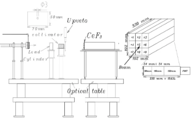 Fig. 4. Schematic view of a CeF 3 scanning system using GeV gas bremsstrahlung photons.