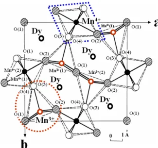 Fig. 1. Crystal structure of the DyMn 2 O 5 single crystal. s  y © Ä » $í õ  ìø Íy© Ä » $í ` ¦ 1lx r \  t H כ 	Ü ¼ Ð ·ú  9t  ¦ e   [7]