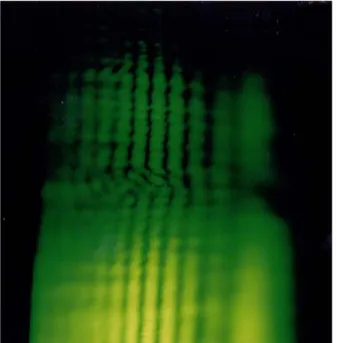 Fig. 6. The generated Lloyd fringe pattern in the mea- mea-surement of refractive index.