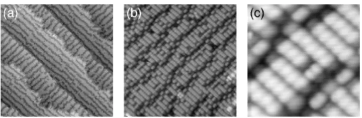 Fig. 6. STM images of Ni-contaminated 2 × n on Si(001)