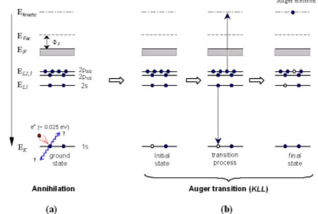Fig. 2. Positron annihilation induced Auger electron pro- pro-cess with energy diagram.