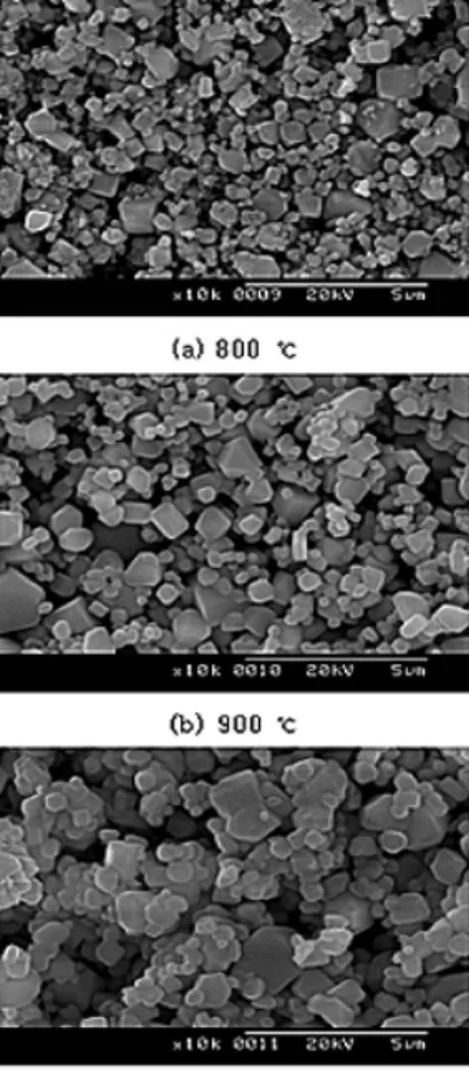 Fig. 5. SEM images of Y 0.95 Eu 0.05 VO 4 ceramic sintered at 800, 900 and 950 ◦ C 7£¤  è :r  ¸ 7£x  ½ + ÉÃ º2 ¤   &amp;ñ $í s  a%~  f ` ¦ ·ú  Ã º e.Table 2H Y0.95Eu0.05VO4[jb_ è:r¸\ Ér ©Ãºü< c/a qÖ¦`¦