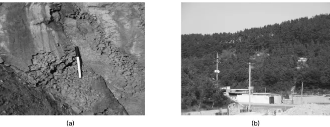 Fig. 2. Examples of landslide events in study area: (a), Weathering progress due to surface exposure in bedrock; (b), Small  scale landslides