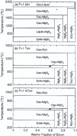 Fig. 4. Schematic representation of the MgB 2 binary phase diagram. (Ref. 46)