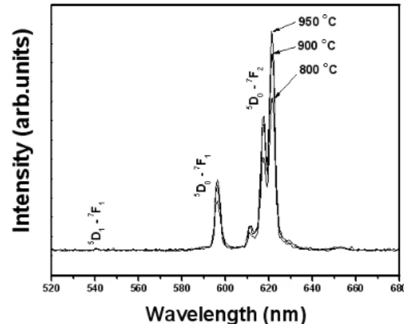 Fig. 3. PL spectra of Gd 0.97 VO 4 :Eu 3+ 0.03 powder sintered at 800, 900 and 950 ◦ C.